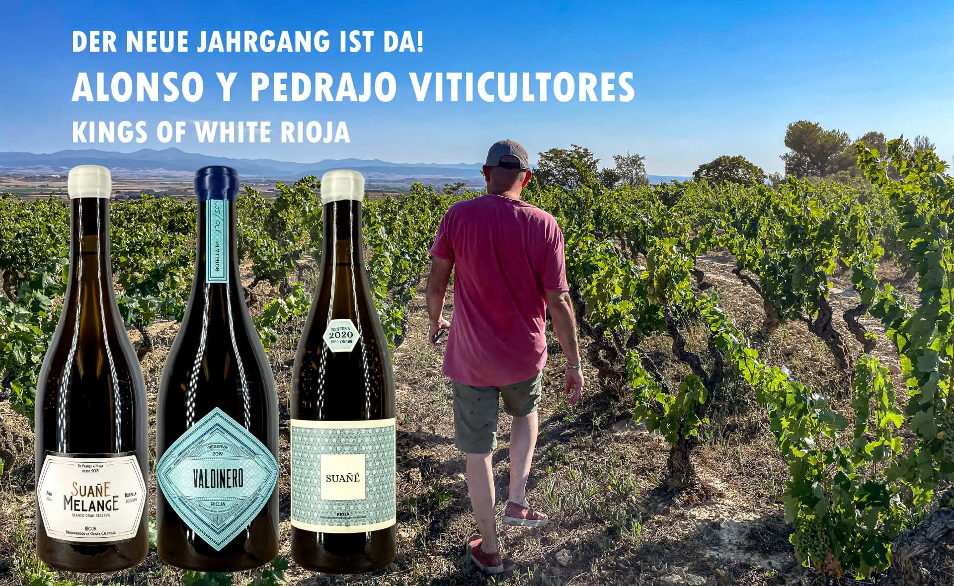 Alonso y Pedrajo neuer Jahrgang Alonso y Pedrajo Arrival Banner